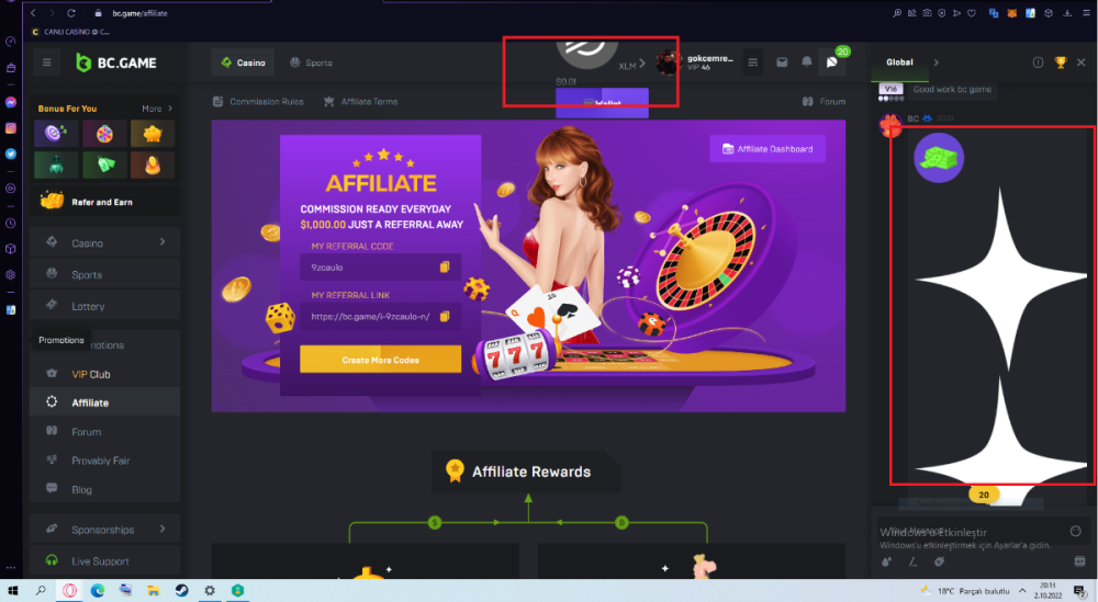 bc.game screen error.png